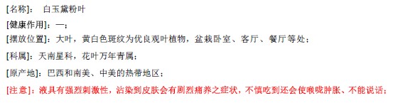 白玉黛粉叶